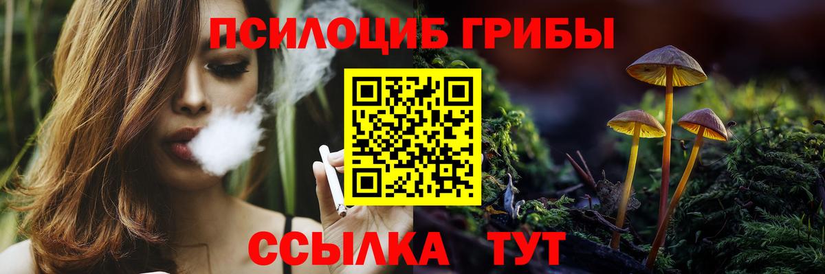Галлюциногенные грибы GOLDEN TEACHER Урюпинск